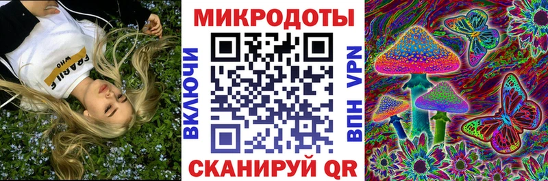 купить наркотик  MEGA сайт  Псилоцибиновые грибы Psilocybe  Мурманск 